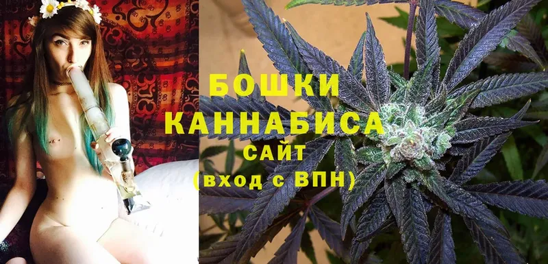 Бошки марихуана THC 21%  Емва 